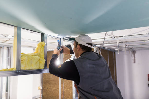 Best Residential Insulation Services  in Richland Hills, TX